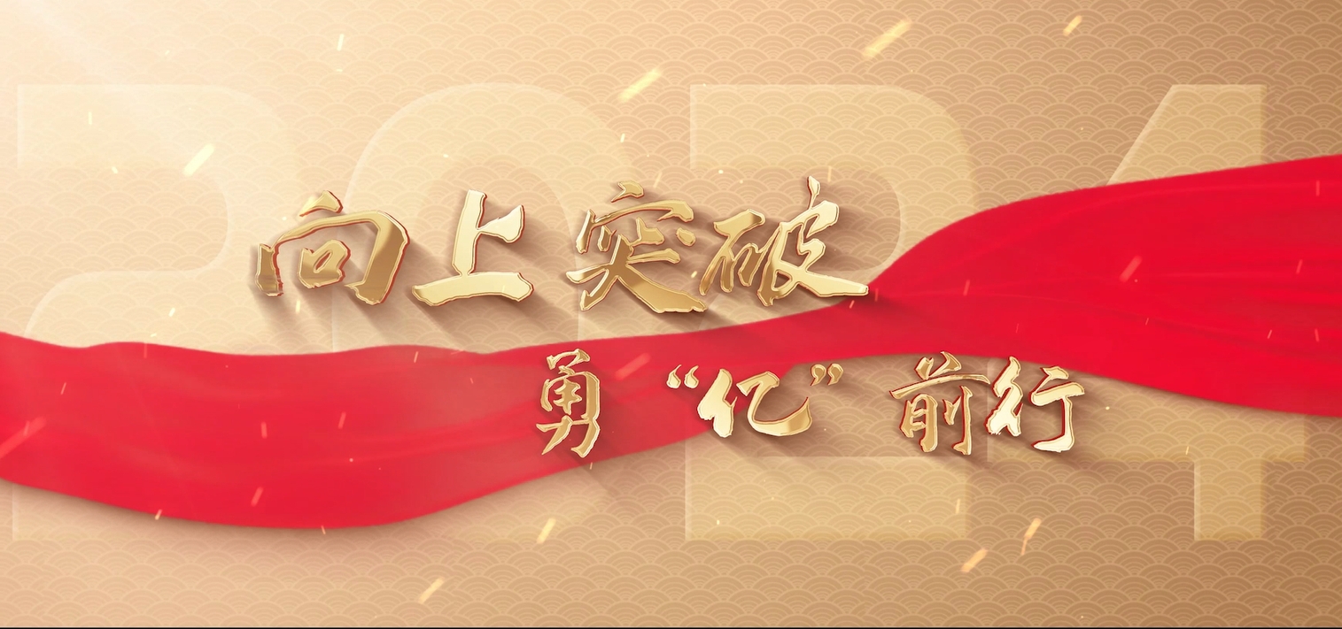 2024年度外高桥回顾片