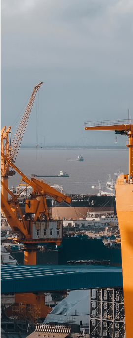 开云体育app下载